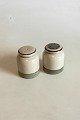 Bing & Grondahl 
Stoneware 
Dinnerware Peru 
Salt and Pepper 
Shakers . 
Measures 6.5 cm 
/ 2 9/16 in.