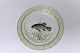 Royal Copenhagen. Fish plate with green border. Model 919/1710. Tinca vulgaris