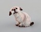 Dahl Jensen. 
Hund, malteser. 
Modelnummer 
1120. 
I flot stand.
1. Sortering.
Måler: 6,5 cm 
x ...