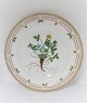 Royal Copenhagen, Flora Danica. Middags tallerken. Design #3549. Diameter 25 cm. 
(1 sortering). Potentilla emarginata Pursh