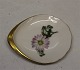 5 pcs in stock
200 Individual 
butter pad 8.5 
cm (330) 
Chrysanthemums, 
sometimes 
called mums or 
...