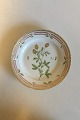 Royal Copenhagen Flora Danica Salat Tallerken No 20/3573