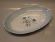 3 pcs in stock
016 Oval 
platter 34 x 
23.5 cm (316) 
Bing and 
Grondahl 
Demeter Blue 
Cornflower ...