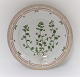 Royal Copenhagen, Flora Danica. Middags tallerken. Design #3549. Diameter 25 cm. 
(1 sortering). Veronica agrestis L