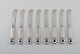 click to zoom