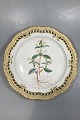 Royal Copenhagen Flora Danica Serveringsfad No 3527