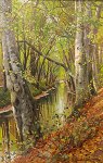 vare nr:
434268