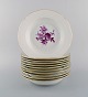 11 antique Meissen deep plates in hand-painted porcelain with purple flowers and 
gold edge. Ca. 1900.
