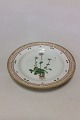 Royal Copenhagen Flora Danica Spisetallerken No 624.(3549)