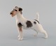 Royal Copenhagen porcelain figurine. Wire Hair Fox Terrier. Model number 
1452/2967. 1920