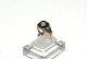 Elegant 
Herrering med 
brilliant og 
sort onyx i 8 
karat guld
Stemplet 333
Str 58
Tjekket af ...