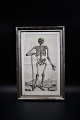 1700 tals 
gravure af 
menneske 
kroppens 
anatomi 
indrammet i 
1800 tals 
sølvramme med 
en fin ...