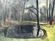 Mogens Skyum, 
Forest party 
with lake, oil 
painting on 
canvas. Signed 
M. Skyum 43. 
Dimensions ...