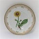 Royal Copenhagen, Flora Danica. Middags tallerken. Design #3549. Diameter 25 cm. 
(1 sortering). Arnica montana L