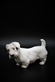 Bing & Grøndahl 
porcelænsfigur 
af en Sealyham 
terrier.
Dekorations 
nummer: 2011. 
1. sort. ...