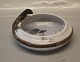 25-397 Kgl. 
Firben på skål 
22 cm præ 1923 
maler nr 158 A. 
Nielsen (AP)  
fra  Royal 
Copenhagen 2. 
...