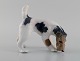 Royal Copenhagen porcelain figurine. Wire Hair Fox Terrier. Model number 3020. 
Dated 1889 - 1922.
