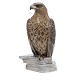 Dahl-Jensen for B&G Copenhagen: Large golden eagle, porcelain. Signed. #1795. H: 
49cm