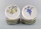 Kronach, 
Tyskland. 14 
porcelænstallerkener 
med håndmlaede 
frugter. 
1940'erne.
Diameter: 20,8 
...