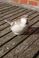 Bing & Grondahl 
B&G Figurine No 
1607 of 1st 
quality and in 
a perfect 
condition. 
B&G porcelain 
...