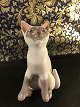 Figur af 
siameser kat.
Bing & 
Grøndahl.
B&G nr. 2464
flot og fin 
pæn stand.
kontakt 
Telefon ...