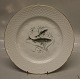 025 Dinner plate 24 cm with fish no. 1. Herring SILD  (325) Hostrup B&G  Hostrup 
Porcelain White with gold rim