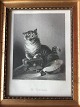 Klicken Sie 
auf ein 
Foto, um 
das große 
Bild sehen