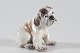 Dahl Jensen 
figurer
Lille Engelsk 
bulldog 
hundehvalp nr. 
1139
Højde 6 cm
1. sortering - 
...