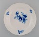Round Meissen 
dish in 
hand-painted 
porcelain. 
Butterfly ...