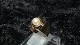 Elegant  Damering med Perle i 14 karat guldStemplet 585 RJRStr 55Pæn og velholdt stand ...