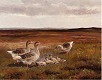Hans Smidth 1839-1917