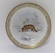 Royal Copenhagen. Fauna Danica. Jagtstel.  Frokost tallerken. Model # 239 - 
3550. Diameter 22 cm. (1 sortering). Canis lagopus