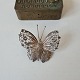 Stor sølv filigran broche i form af sommerfuglStemplet: Peru - 925Mål 5 x 5,7 cm.