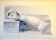 Tornøe, Wentzel 
(1844 - 1907) 
Denmark: Sketch 
- an arm.