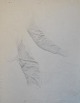 Tornøe, Wentzel 
(1844 - 1907) 
Denmark: Sketch 
- arms. Lead on 
paper. Verso 
stamp.30.5 x 24 
...