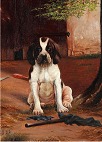 Simon Simonsen 1841-1928