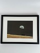 Earth Rise - vintage NASA farveoffsetfoto / fotoplakat / fotoprint fra 
slutningen af 1960