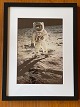 Originalt NASA farveoffsetfotografi / fotoprint 
fra af Edwin "Buzz" Aldrin under Apollo-11 
månemissionen i 1969. Astronaut Neil Armstrong 
spejles i Aldrins visir