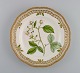 Royal Copenhagen Flora Danica dinner plate in openwork porcelain with 
hand-painted flowers and gold decoration. Model number 20/3553.
