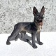 Dahl Jensen, 
Stående 
Schæferhund 
#1087, 20cm 
bred, 21cm høj, 
1.sortering 
*Perfekt stand*