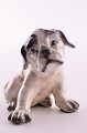 Dahl Jensen, 
porcelæns 
figur, hund. DJ 
Fransk Bulldog 
hvalp, nr. 
1139. Højde 7,5 
cm. 2. ...