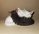 Figure with 
three sleeping 
kittens in 
porcelain from 
Royal 
Copenhagen. 
Appears in good 
...
