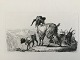 Johannes 
Vilhelm Zillen 
(1824-70):
En flok geder 
1849.
Radering på 
papir.
Sign.: ...