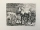 Johannes 
Vilhelm Zillen 
(1824-70):
Hest der æder 
hø fra en vogn 
1858.
Radering på 
...