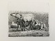 Johannes 
Vilhelm Zillen 
(1824-70):
En fåreflok 
1850.
Radering på 
papir.
Sign.: ...