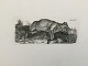 Johannes 
Vilhelm Zillen 
(1824-70):
En hund 
hvilende på 
marken 1859.
Radering på 
papir.
Sign.: ...