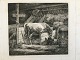 Johannes 
Vilhelm Zillen 
(1824-70):
En hund 
hvilende på 
marken 1859.
Radering på 
papir.
Sign.: ...