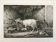 Johannes 
Vilhelm Zillen 
(1824-70):
En Gedestald 
1859.
Radering på 
papir.
Sign.: W. 
Zillen (i ...