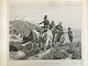 Johannes 
Vilhelm Zillen 
(1824-70):
På vej til 
Markedet.
Efter maleri 
af Otto Bache.
Radering ...