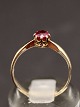 Solitaire/prinsesse ring 14 karat guld størrelse 57-58 med rød spinel emne nr. 506598